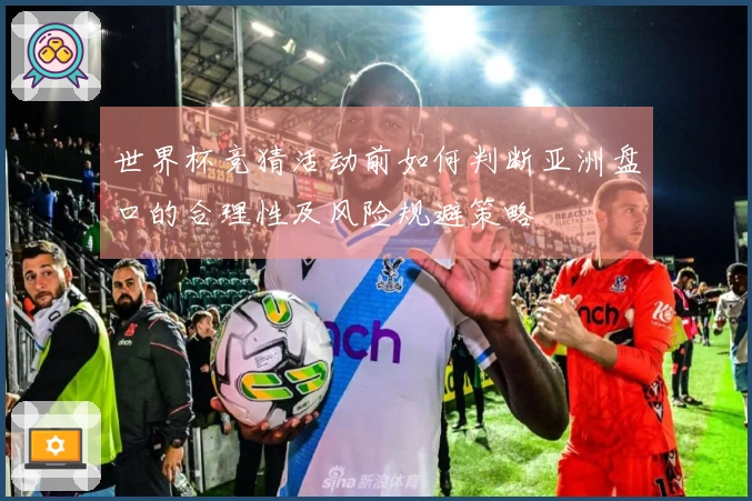 世界杯竞猜活动前如何判断亚洲盘口的合理性及风险规避策略