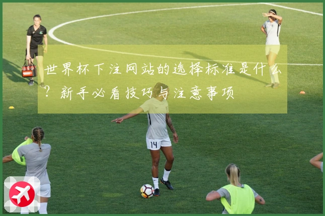 世界杯下注网站的选择标准是什么？新手必看技巧与注意事项