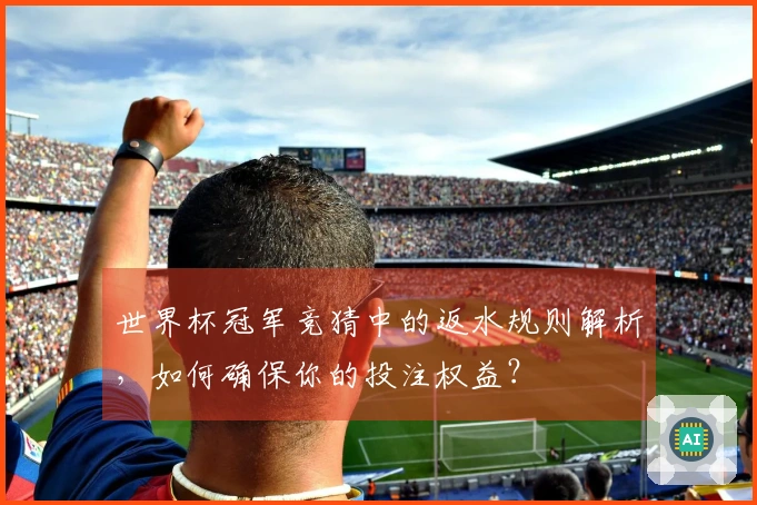 世界杯冠军竞猜中的返水规则解析，如何确保你的投注权益？