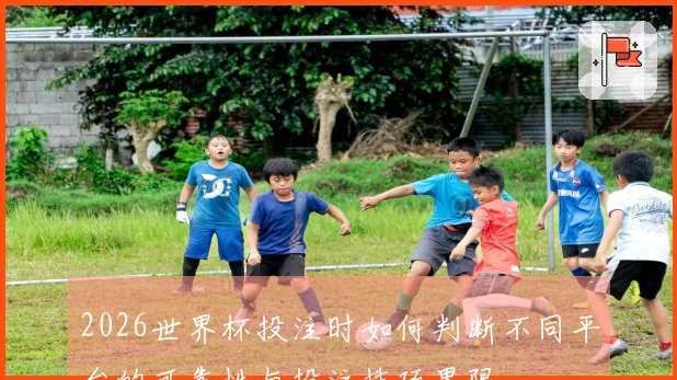 2026世界杯投注时如何判断不同平台的可靠性与投注技巧界限