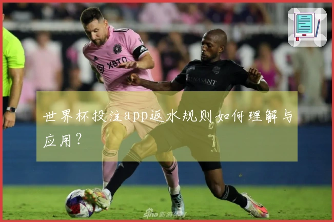世界杯投注app返水规则如何理解与应用？