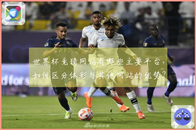 世界杯竞猜网站有哪些主要平台,如何区分体彩与其他网站的优势?