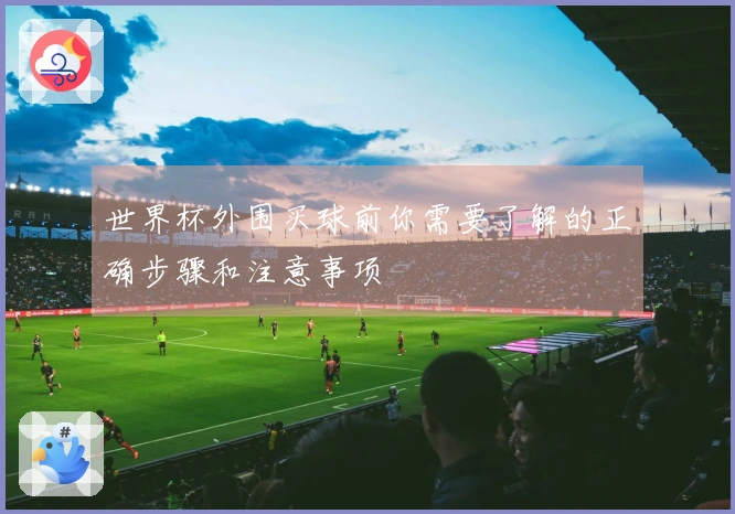 世界杯外围买球前你需要了解的正确步骤和注意事项
