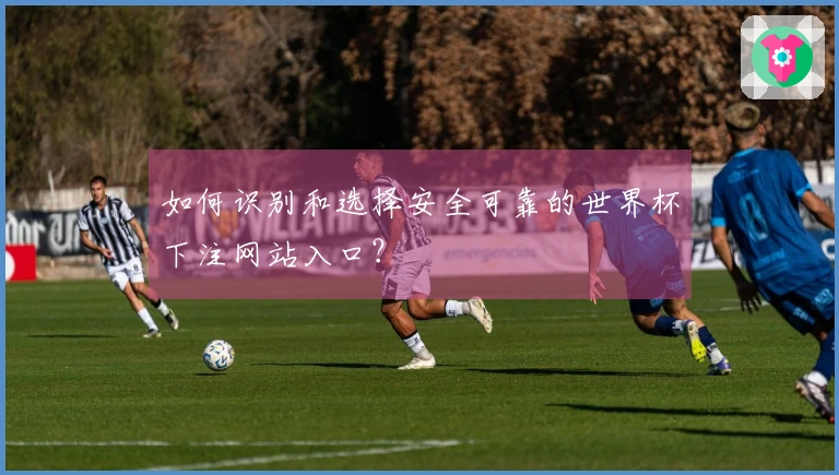 如何识别和选择安全可靠的世界杯下注网站入口？
