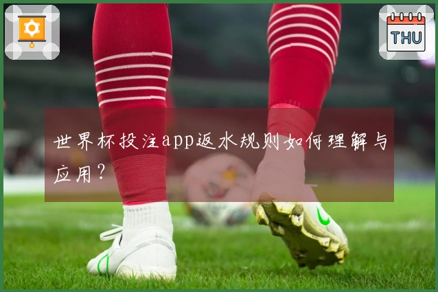 世界杯投注app返水规则如何理解与应用？