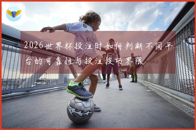 2026世界杯投注时如何判断不同平台的可靠性与投注技巧界限
