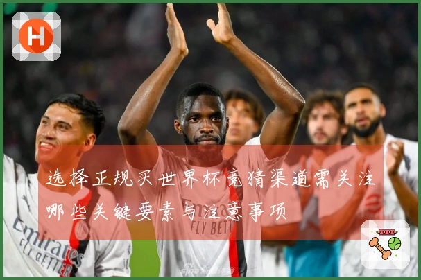 选择正规买世界杯竞猜渠道需关注哪些关键要素与注意事项