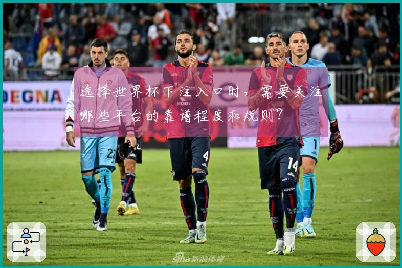 选择世界杯下注入口时，需要关注哪些平台的靠谱程度和规则？