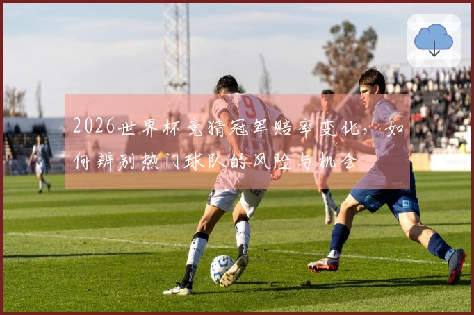 2026世界杯竞猜冠军赔率变化，如何辨别热门球队的风险与机会