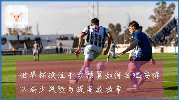 世界杯投注平台预算如何合理安排以减少风险与提高成功率