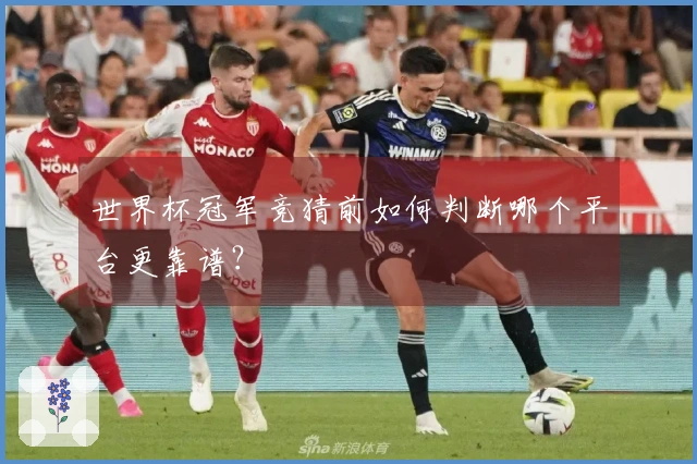 世界杯冠军竞猜前如何判断哪个平台更靠谱？