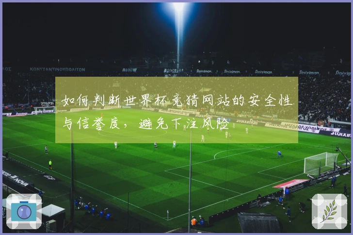 如何判断世界杯竞猜网站的安全性与信誉度，避免下注风险