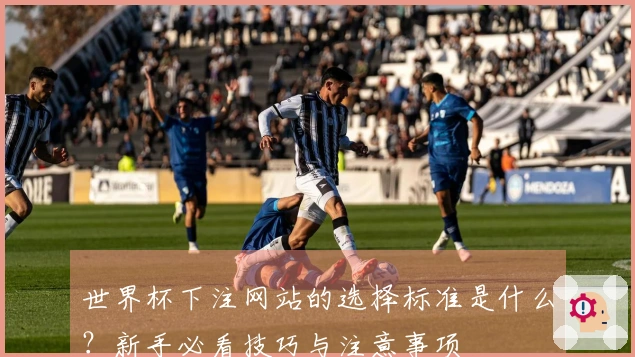 世界杯下注网站的选择标准是什么？新手必看技巧与注意事项