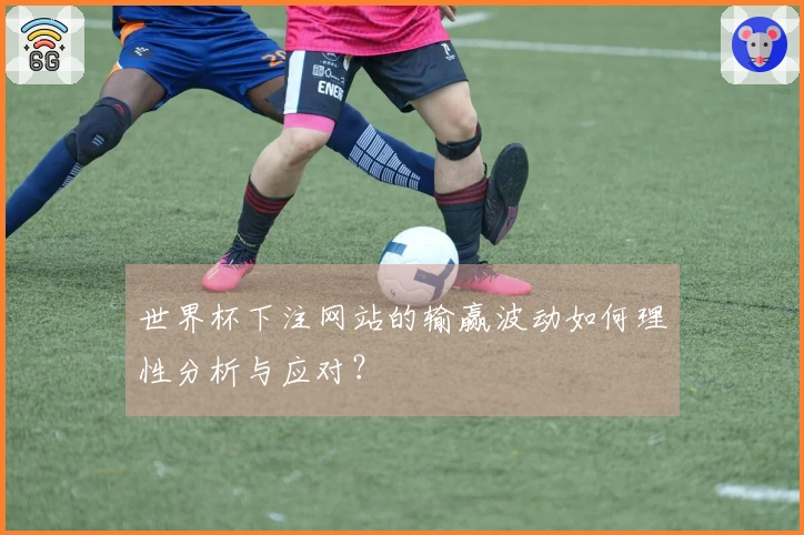 世界杯下注网站的输赢波动如何理性分析与应对？