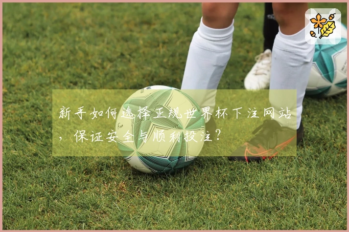 新手如何选择正规世界杯下注网站，保证安全与顺利投注？