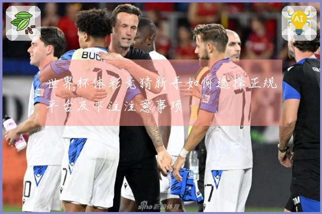 世界杯体彩竞猜新手如何选择正规平台及下注注意事项
