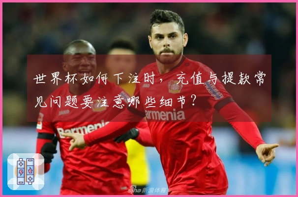世界杯如何下注时，充值与提款常见问题要注意哪些细节？