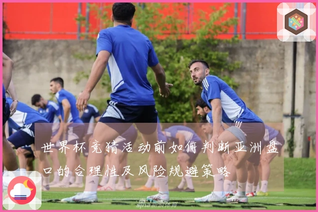 世界杯竞猜活动前如何判断亚洲盘口的合理性及风险规避策略