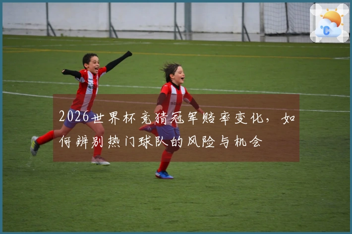 2026世界杯竞猜冠军赔率变化，如何辨别热门球队的风险与机会