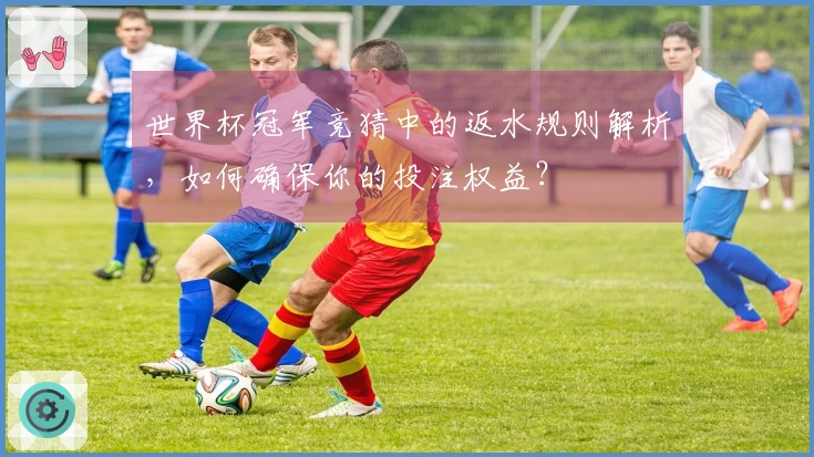 世界杯冠军竞猜中的返水规则解析，如何确保你的投注权益？