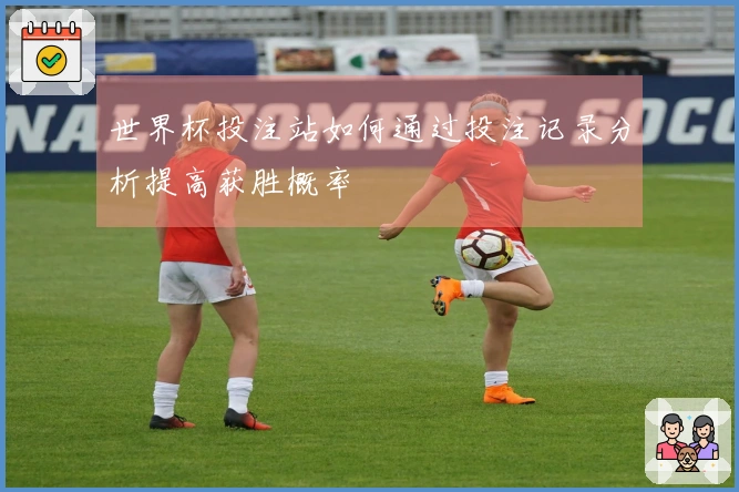 世界杯投注站如何通过投注记录分析提高获胜概率
