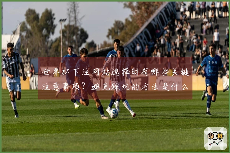 世界杯下注网站选择时有哪些关键注意事项？避免踩坑的方法是什么？