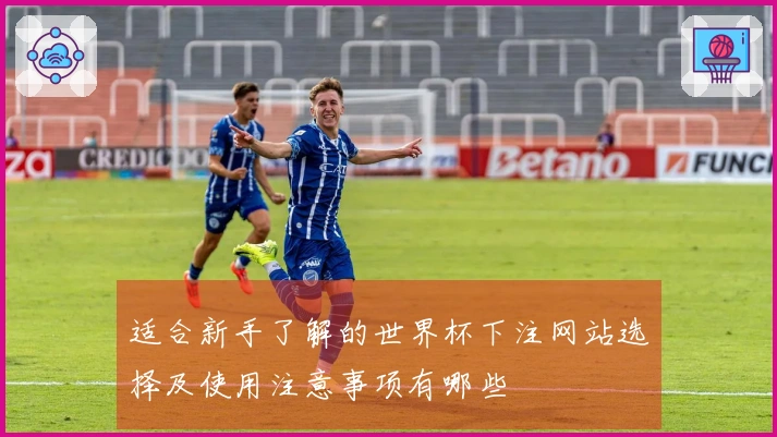 适合新手了解的世界杯下注网站选择及使用注意事项有哪些