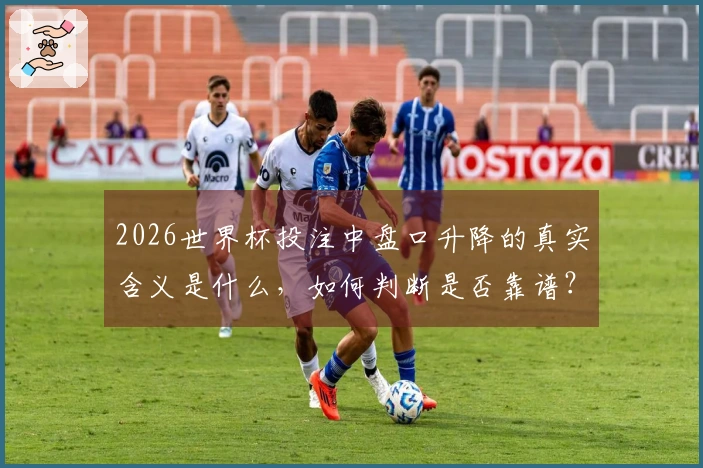 2026世界杯投注中盘口升降的真实含义是什么，如何判断是否靠谱？