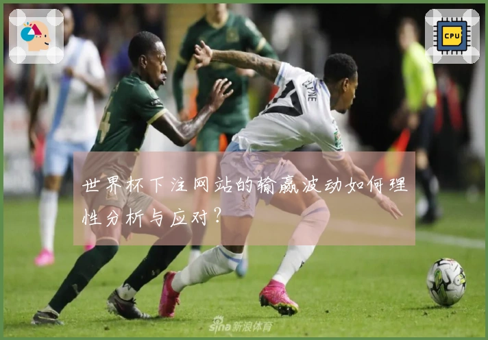世界杯下注网站的输赢波动如何理性分析与应对？